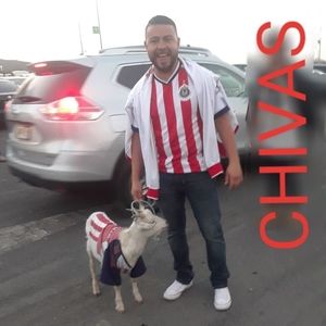 Meet your Posher, Jesus